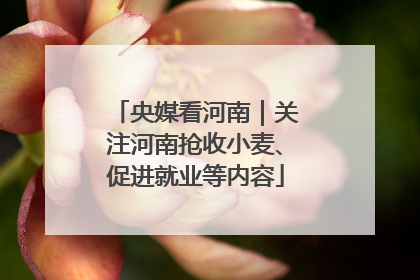 央媒看河南｜关注河南抢收小麦、促进就业等内容