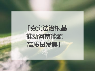 夯实法治根基 推动河南能源高质量发展