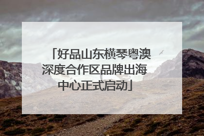 好品山东横琴粤澳深度合作区品牌出海中心正式启动