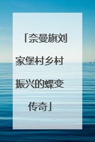 奈曼旗刘家堡村乡村振兴的蝶变传奇