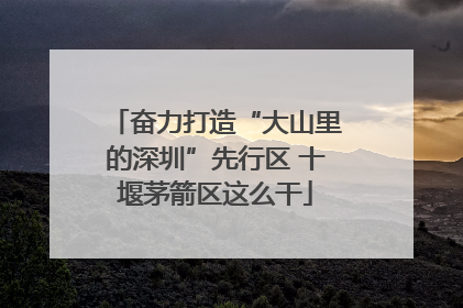 奋力打造“大山里的深圳”先行区 十堰茅箭区这么干