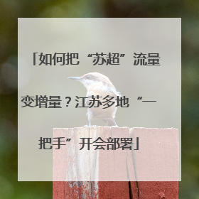如何把“苏超”流量变增量？江苏多地“一把手”开会部署
