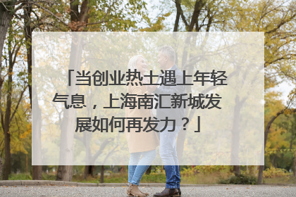 当创业热土遇上年轻气息，上海南汇新城发展如何再发力？