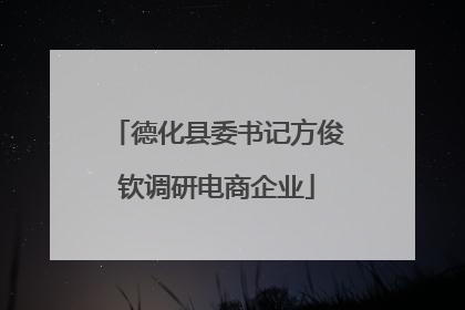 德化县委书记方俊钦调研电商企业