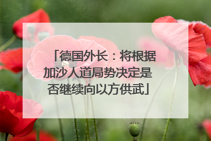 德国外长：将根据加沙人道局势决定是否继续向以方供武