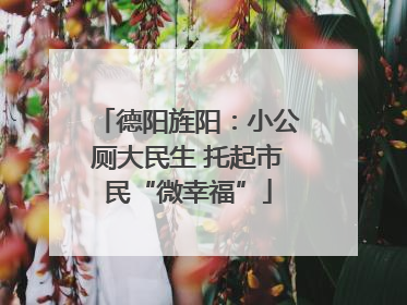 德阳旌阳：小公厕大民生 托起市民“微幸福”