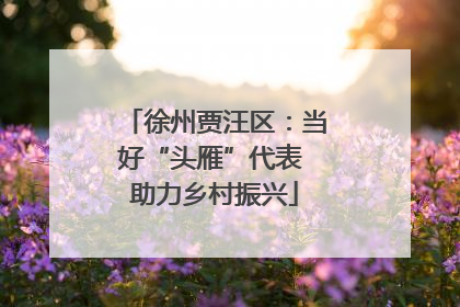 徐州贾汪区：当好“头雁”代表 助力乡村振兴