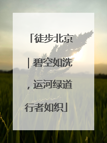 徒步北京｜碧空如洗，运河绿道行者如织