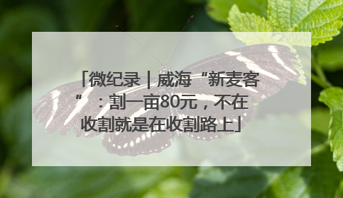 微纪录｜威海“新麦客”：割一亩80元，不在收割就是在收割路上
