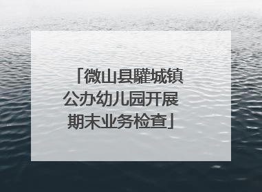 微山县驩城镇公办幼儿园开展期末业务检查