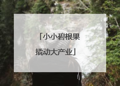 小小碧根果撬动大产业