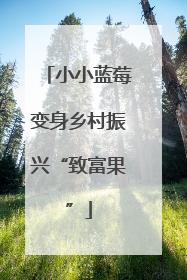 小小蓝莓变身乡村振兴“致富果”