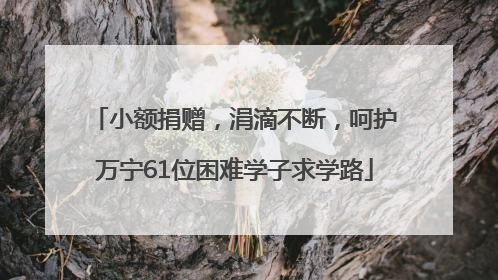 小额捐赠，涓滴不断，呵护万宁61位困难学子求学路