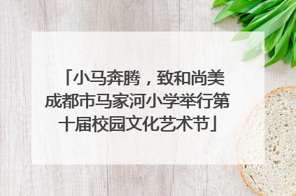 小马奔腾，致和尚美 成都市马家河小学举行第十届校园文化艺术节