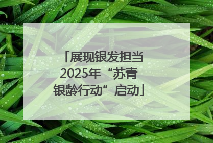 展现银发担当 2025年“苏青银龄行动”启动