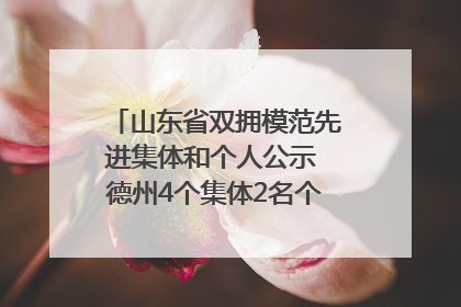 山东省双拥模范先进集体和个人公示 德州4个集体2名个人拟受表彰