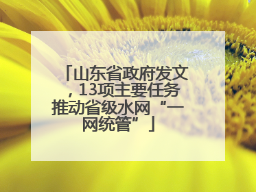 山东省政府发文，13项主要任务推动省级水网“一网统管”