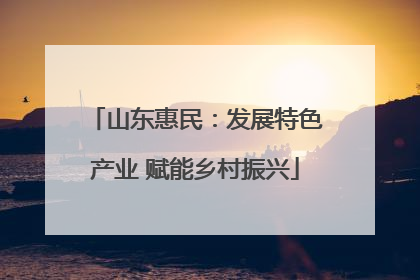 山东惠民：发展特色产业 赋能乡村振兴