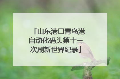 山东港口青岛港自动化码头第十三次刷新世界纪录