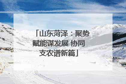 山东菏泽：聚势赋能谋发展 协同支农谱新篇