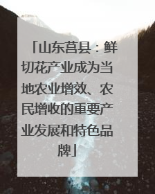 山东莒县：鲜切花产业成为当地农业增效、农民增收的重要产业发展和特色品牌