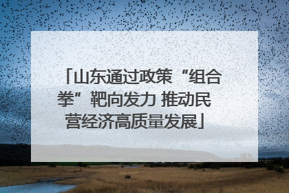 山东通过政策“组合拳”靶向发力 推动民营经济高质量发展
