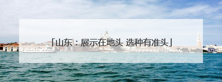 山东：展示在地头 选种有准头