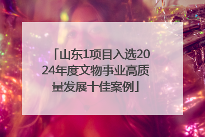 山东1项目入选2024年度文物事业高质量发展十佳案例