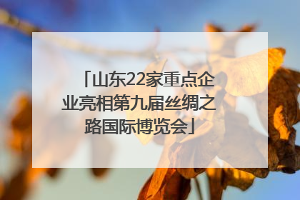 山东22家重点企业亮相第九届丝绸之路国际博览会