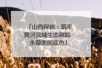 山西保德：筑牢黄河流域生态屏障 永葆美丽底色