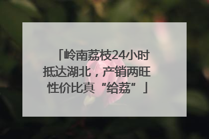岭南荔枝24小时抵达湖北，产销两旺性价比真“给荔”