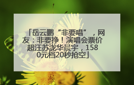 岳云鹏“非要唱”，网友：非要挣！演唱会票价超汪苏泷华晨宇，1580元档20秒抢空