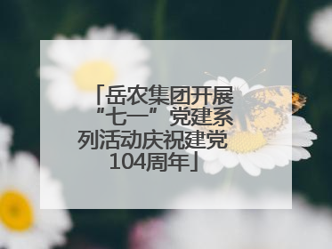 岳农集团开展“七一”党建系列活动庆祝建党104周年