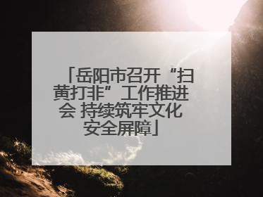 岳阳市召开“扫黄打非”工作推进会 持续筑牢文化安全屏障