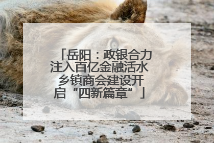 岳阳：政银合力注入百亿金融活水 乡镇商会建设开启“四新篇章”