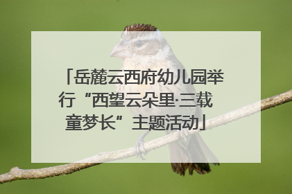 岳麓云西府幼儿园举行“西望云朵里·三载童梦长”主题活动
