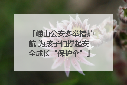 崂山公安多举措护航 为孩子们撑起安全成长“保护伞”