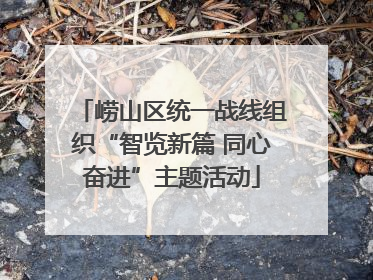 崂山区统一战线组织“智览新篇 同心奋进”主题活动