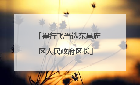 崔行飞当选东昌府区人民政府区长