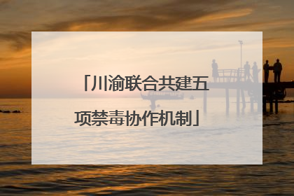 川渝联合共建五项禁毒协作机制