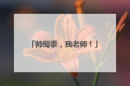 帅蜀黍，我老师！