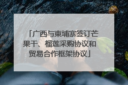 广西与柬埔寨签订芒果干、榴莲采购协议和贸易合作框架协议