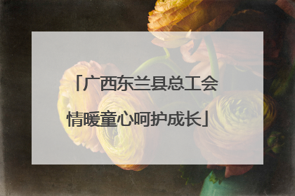 广西东兰县总工会情暖童心呵护成长