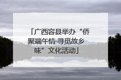 广西容县举办“侨聚端午情·寻觅故乡味”文化活动
