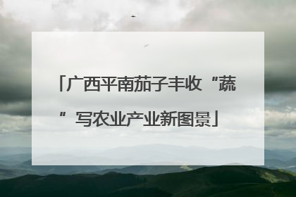 广西平南茄子丰收“蔬”写农业产业新图景
