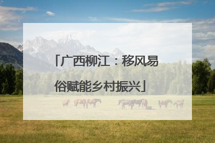 广西柳江：移风易俗赋能乡村振兴