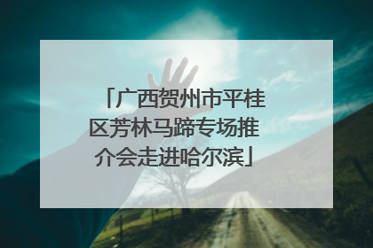 广西贺州市平桂区芳林马蹄专场推介会走进哈尔滨