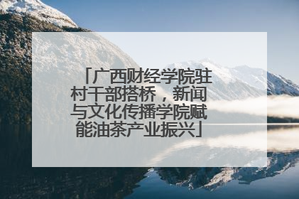 广西财经学院驻村干部搭桥，新闻与文化传播学院赋能油茶产业振兴