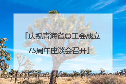 庆祝青海省总工会成立75周年座谈会召开