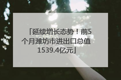延续增长态势！前5个月潍坊市进出口总值1539.4亿元